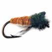 caddis pupa cinnamon